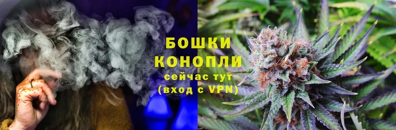 Бошки марихуана OG Kush  Духовщина 